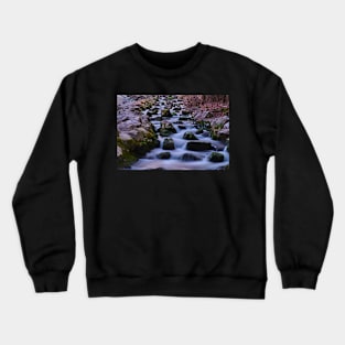 The bottom of the fish ladder Crewneck Sweatshirt